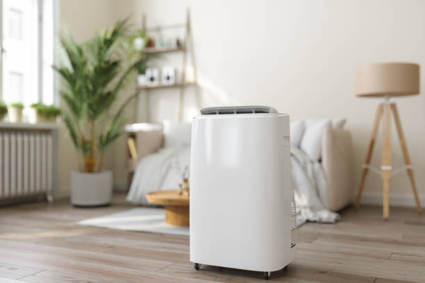 Best Air Filters and Purifiers in Machias, WA